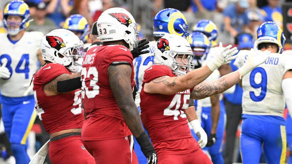 Arizona Cardinals OLB Dennis Gardeck celebrates after a sack...