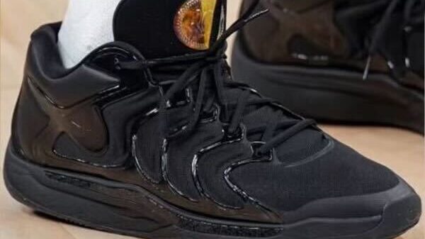 KD 17 shoes...