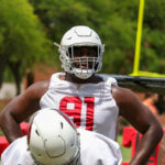 Arizona Cardinals DL L.J. Collier looks on during OTAs on Monday, May 20, 2024, in Tempe. (Tyler Drake/Arizona Sports)