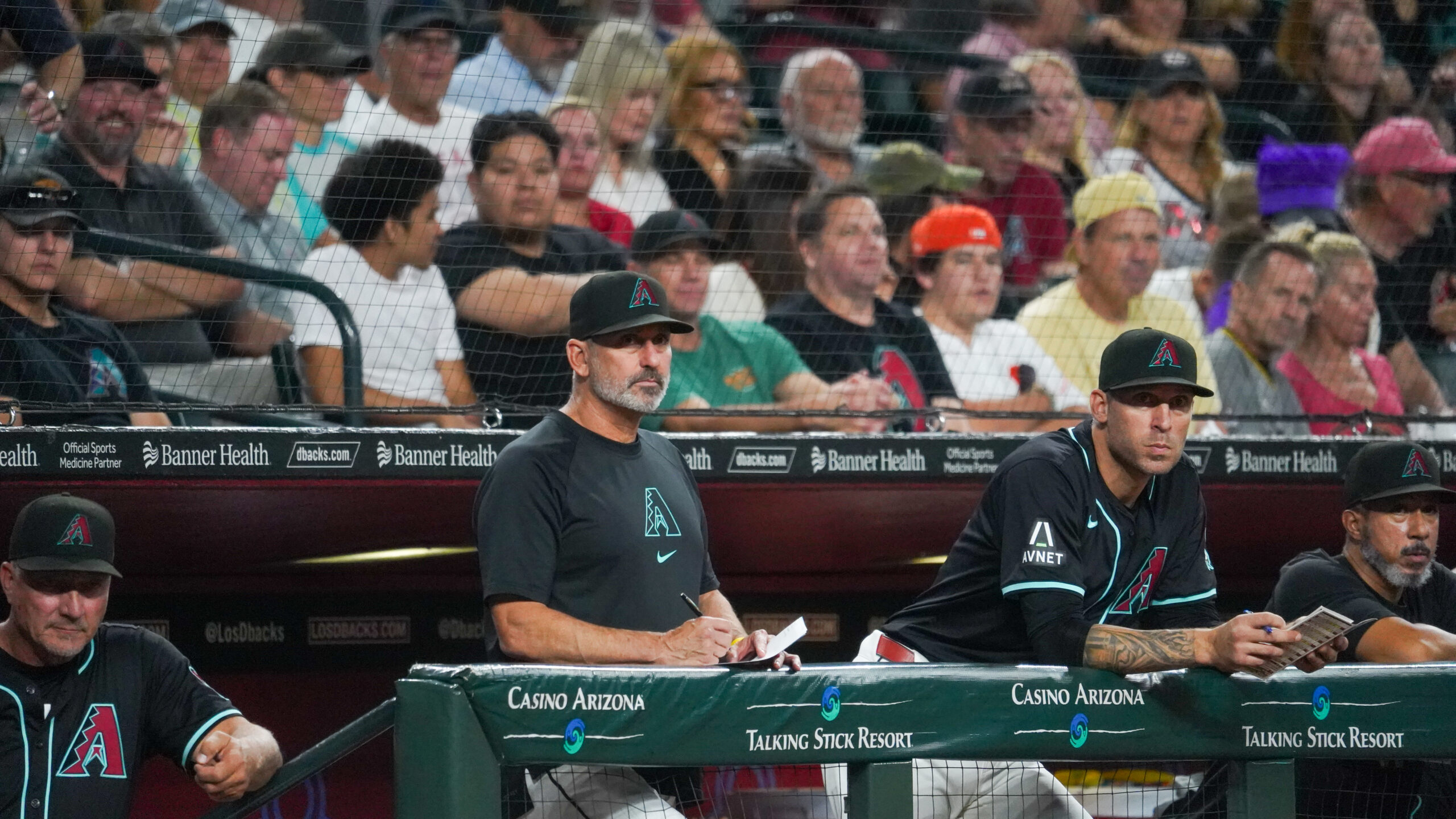 TOREY LOVULLO...